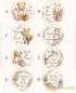 Farewell Treats｜8款設計｜可改文字